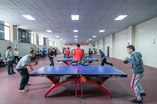 乒乓球 乒乓球