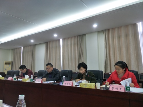 专题民主生活会2