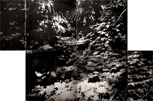 故国4.webp 故国4.webp