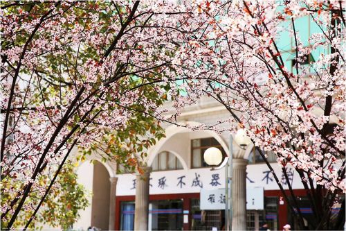 mmexport1520236892151