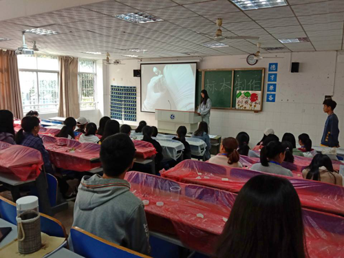 标本制作 标本制作