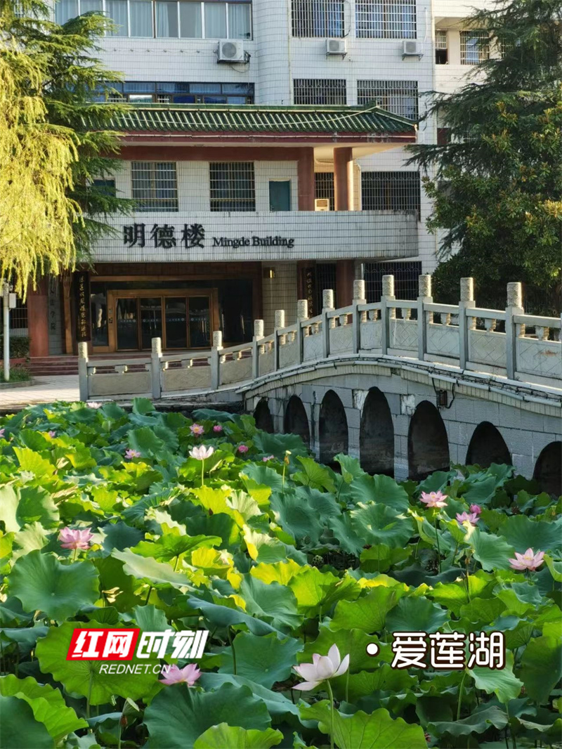 微信图片_20240829152135.jpg 微信图片_20240829152135.jpg