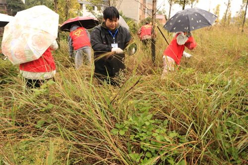 QQ图片20231113163157