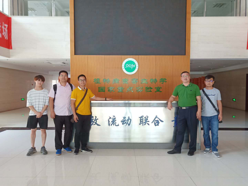 43990_500x500 43990_500x500