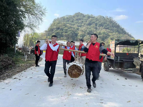 邑口村植树3 邑口村植树3